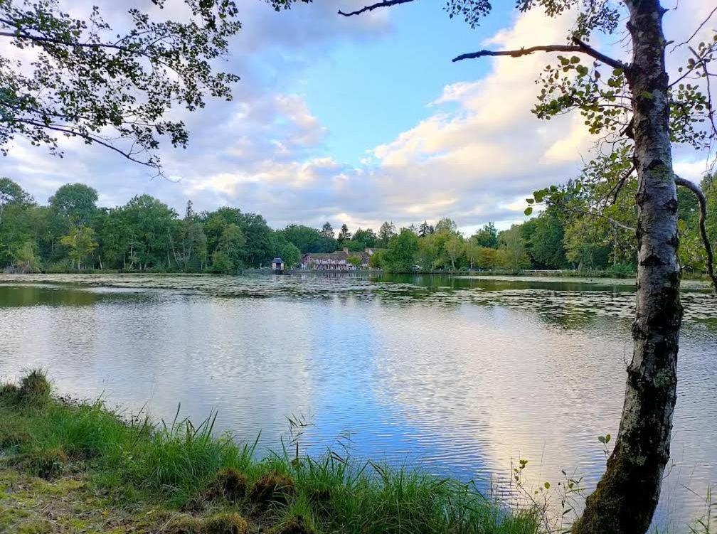 Le Moulin De Villiers Hotel Nouan-le-Fuzelier Kültér fotó